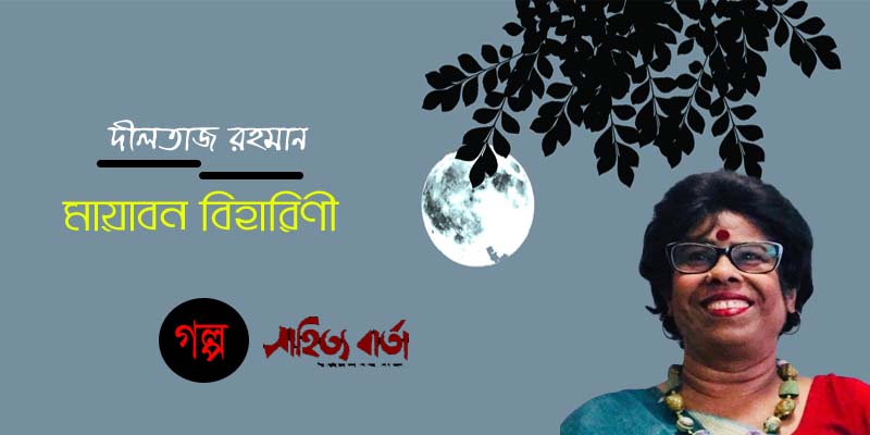মায়াবন বিহারিণী - দীলতাজ রহমান